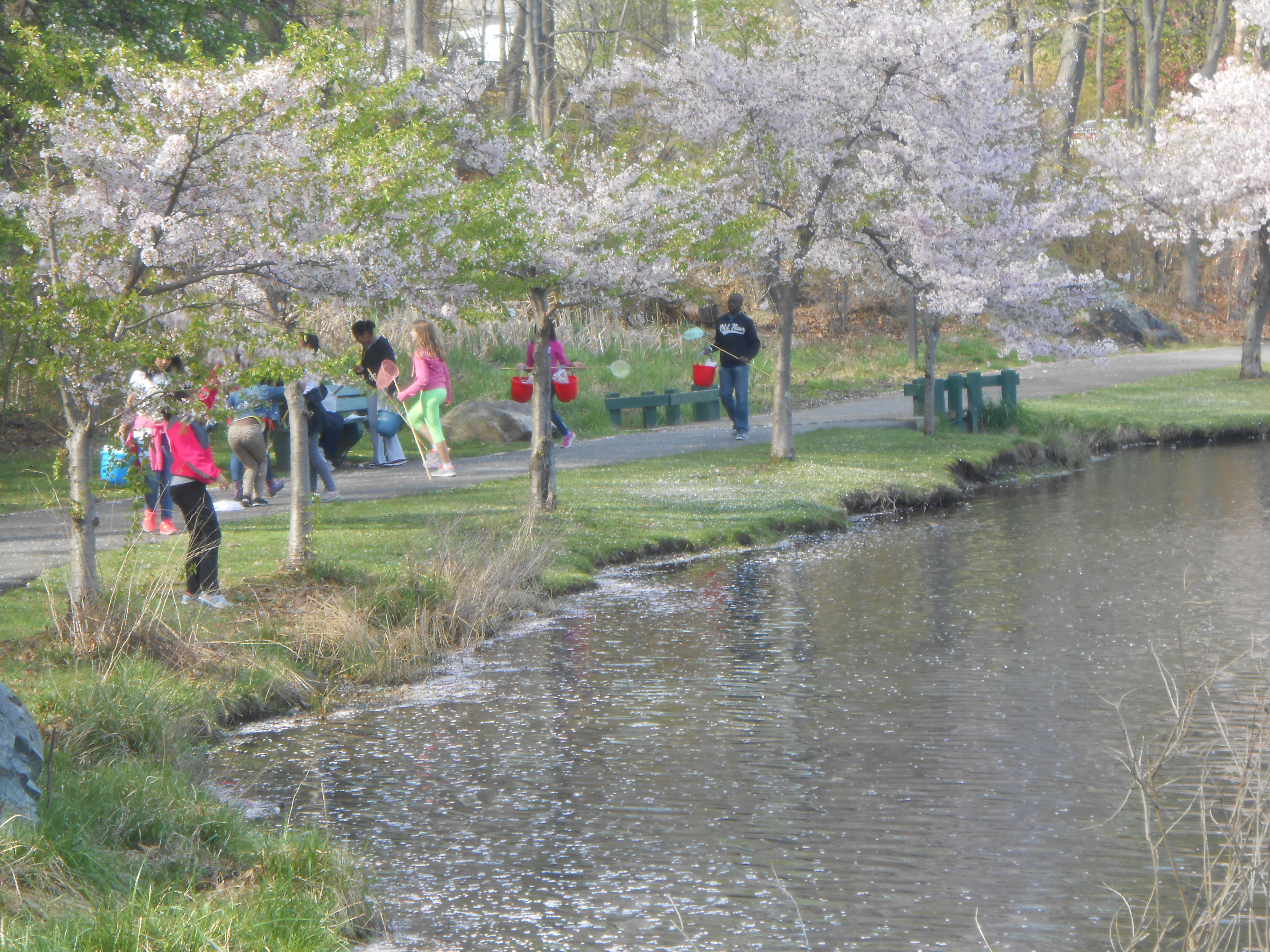 Fellsmore Pond in Spring photograph
