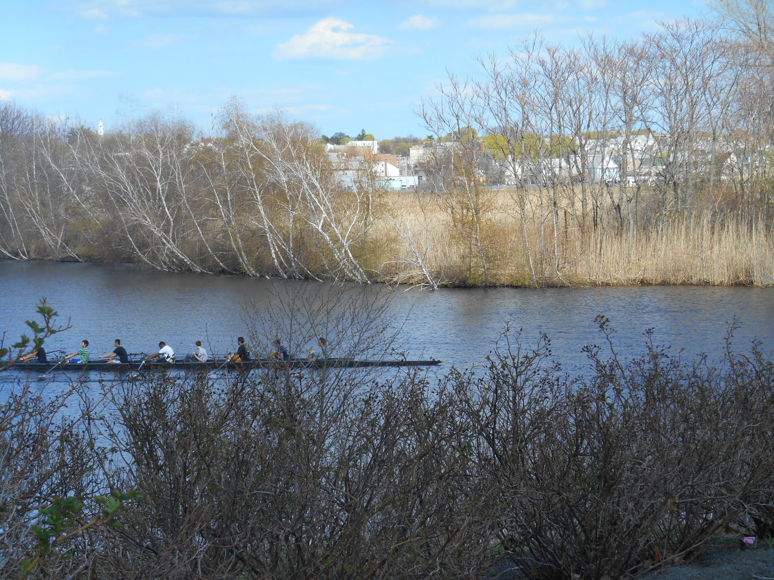 Image of rowers on the Malden River